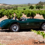 C-Type Jaguar_Barossa Valley