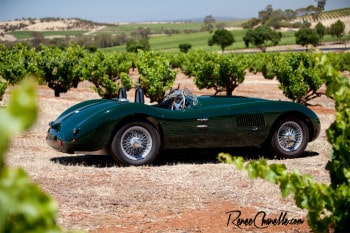 C-Type Jaguar_Barossa Valley